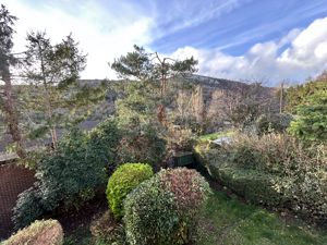 Photo 19- click for photo gallery